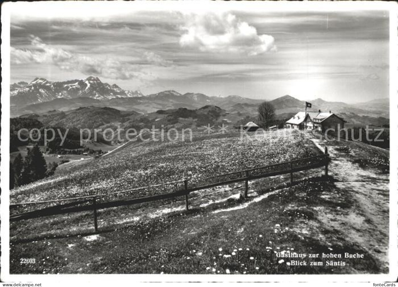 11970579 Saentis AR Gasthaus Zur Hoher Buche   Saentis AR - Sonstige & Ohne Zuordnung