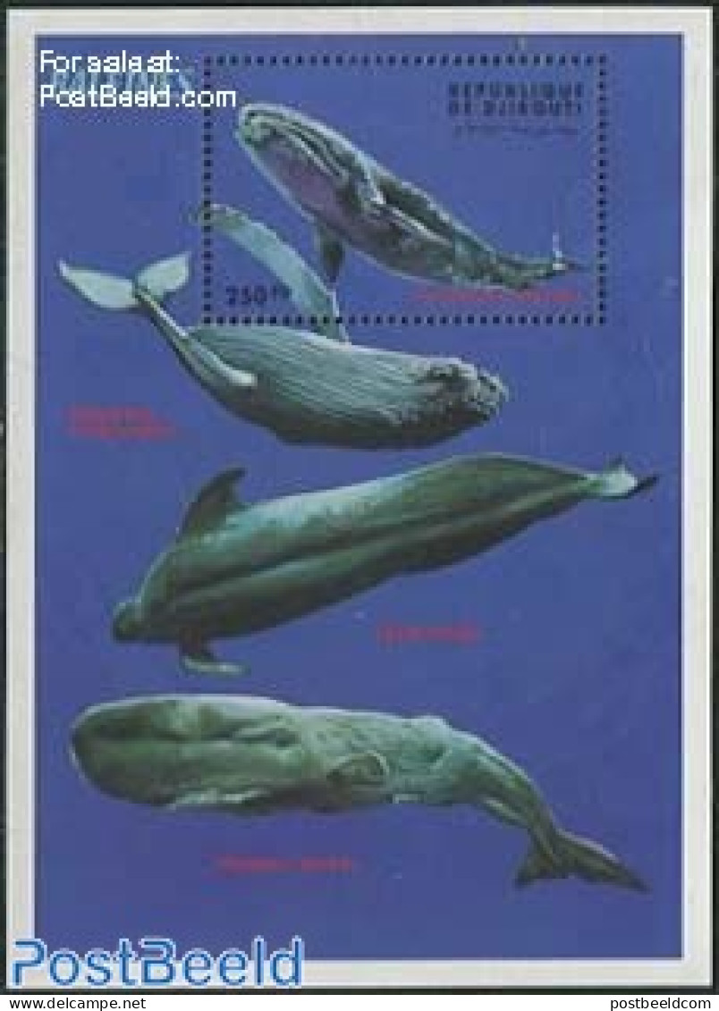 Djibouti 2000 Sea Mammals S/s, Eschrichtius Robustus, Mint NH, Nature - Sea Mammals - Djibouti (1977-...)