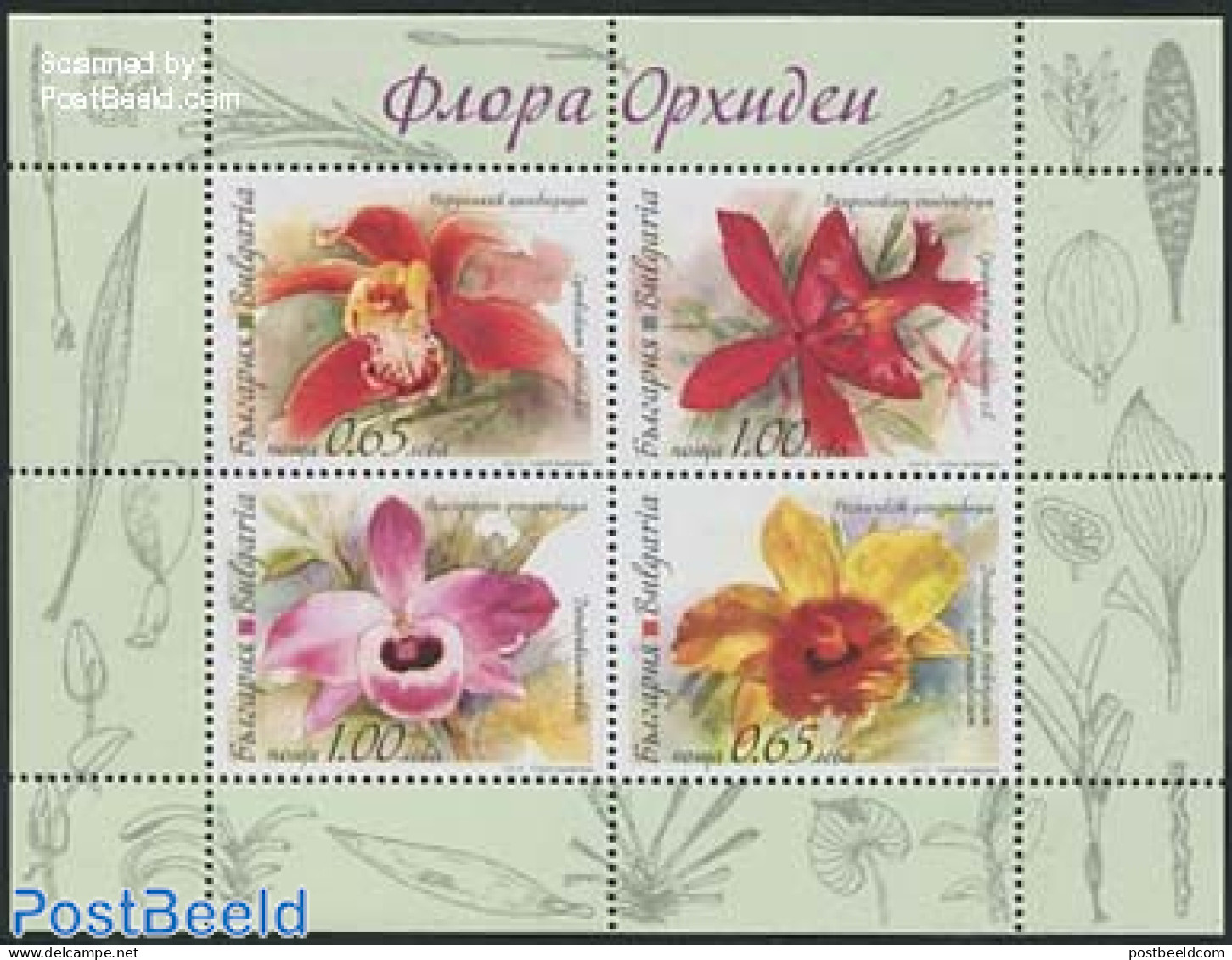 Bulgaria 2013 Orchids 4v M/s, Mint NH, Nature - Flowers & Plants - Orchids - Neufs