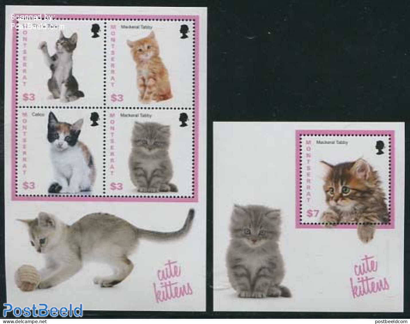 Montserrat 2013 Cats 2 S/s, Mint NH, Nature - Cats - Andere & Zonder Classificatie