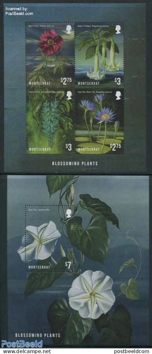 Montserrat 2013 Blossoming Plants 2 S/s, Mint NH, Nature - Flowers & Plants - Autres & Non Classés