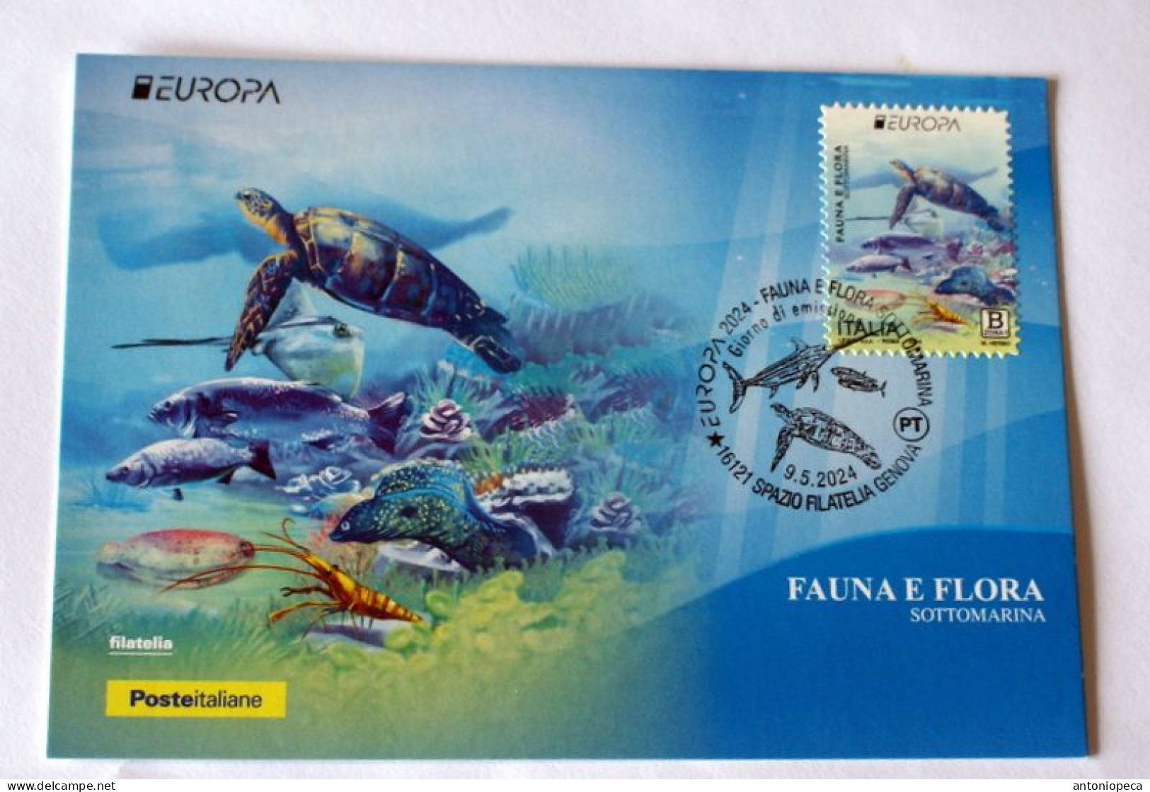 ITALIA 2024, EUROPA CEPT , FAUNA E FLORA SOTTOMARINA, DUE MAXICARD OFFICIAL FDC - 2021-...: Mint/hinged