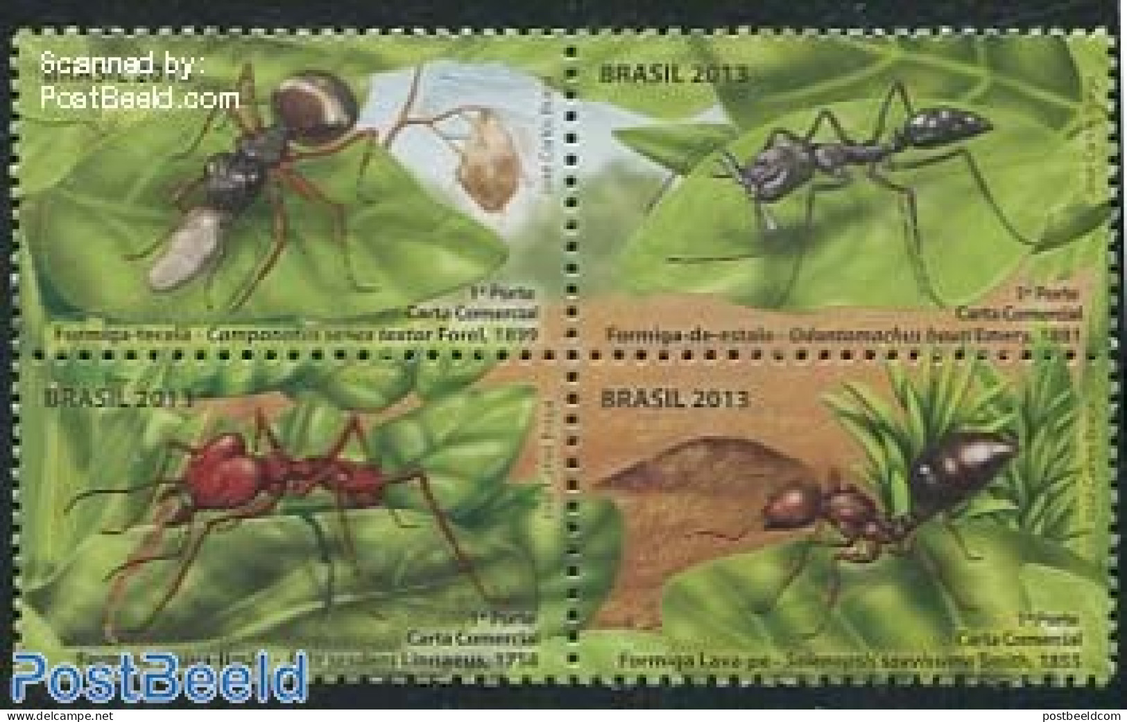 Brazil 2013 Ants 4v [+], Mint NH, Nature - Insects - Ungebraucht