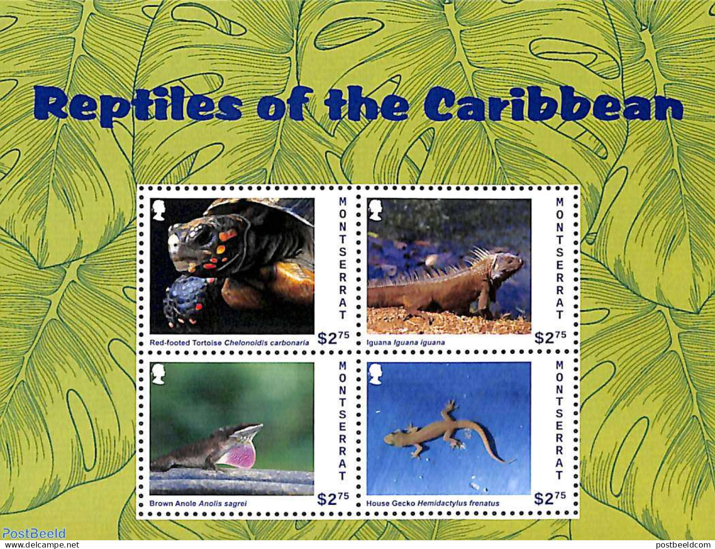 Montserrat 2013 Reptiles Of The Caribbean 4v M/s, Mint NH, Nature - Reptiles - Andere & Zonder Classificatie