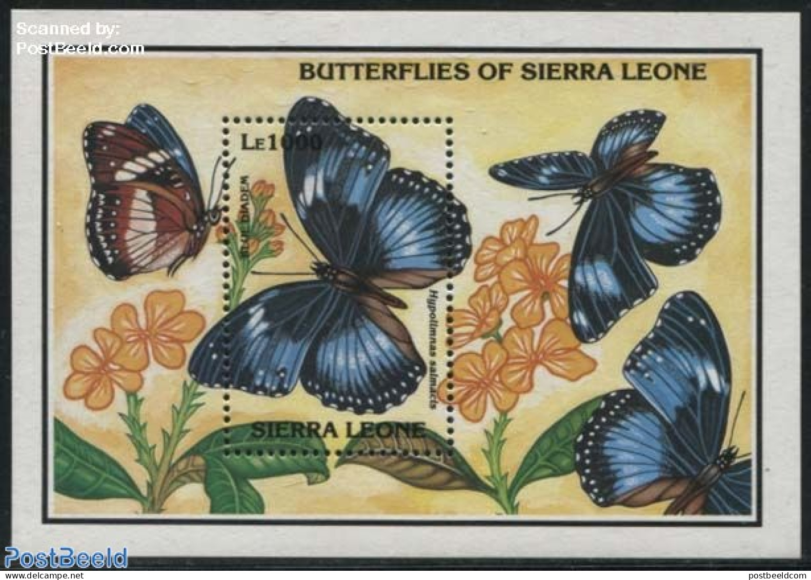 Sierra Leone 1993 Hypolimnas Salmacis S/s, Mint NH, Nature - Butterflies - Altri & Non Classificati