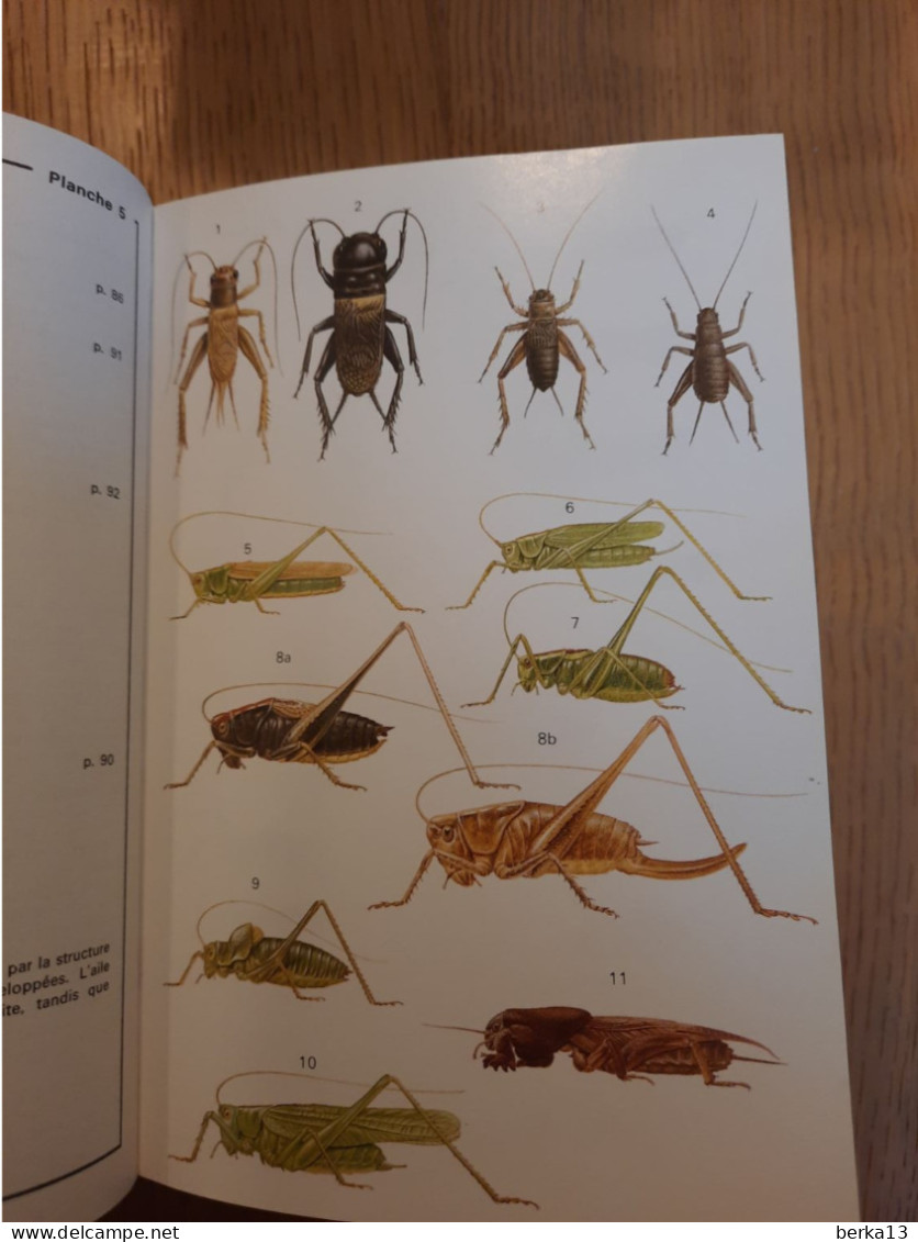 Le Multiguide Nature Des Insectes D'Europe En Couleurs CHINERY 1986 - Science