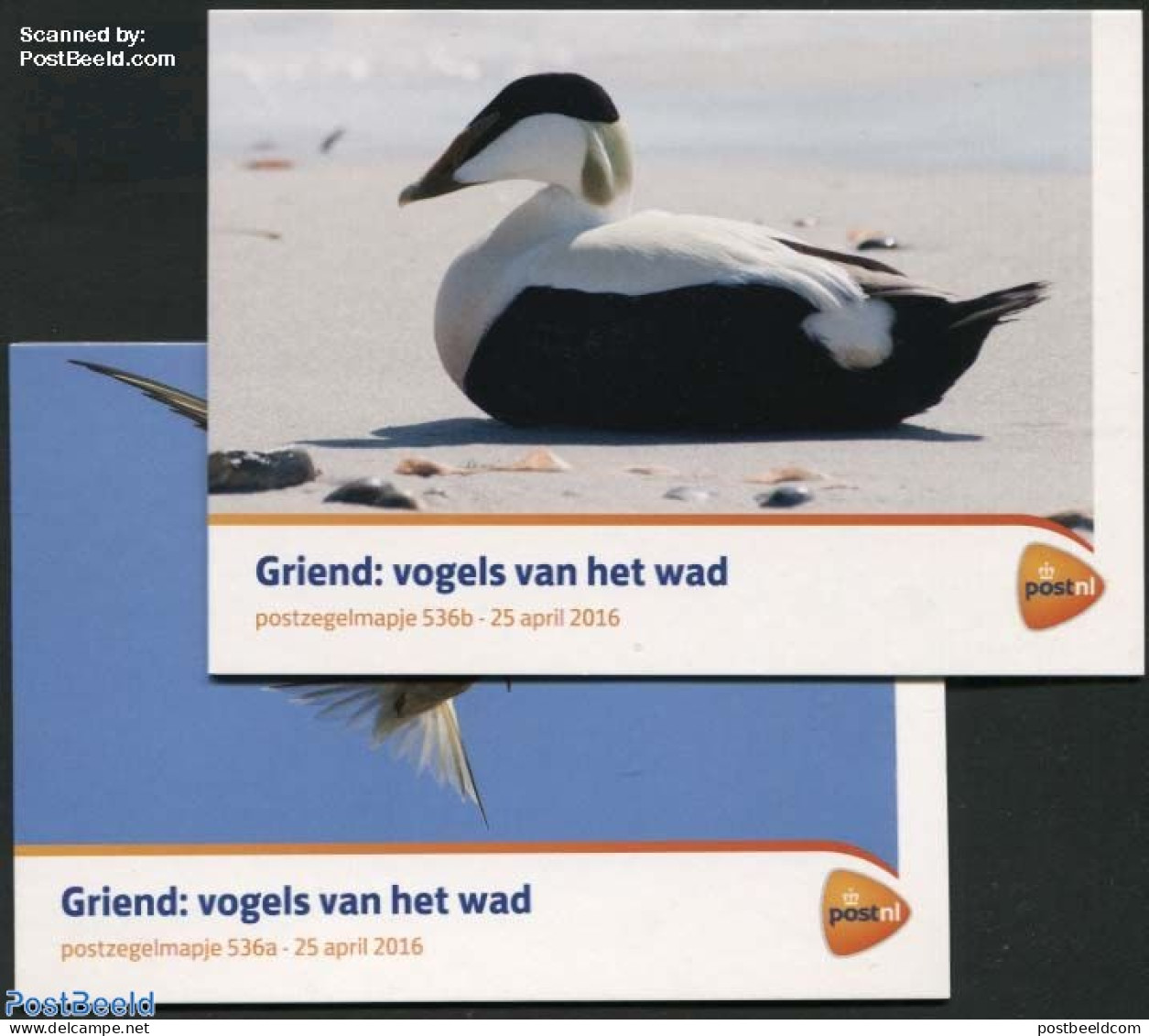 Netherlands 2016 Birds Of Griend Island, Presentation Pack 536a+b, Mint NH, Nature - Birds - Ducks - Ungebraucht