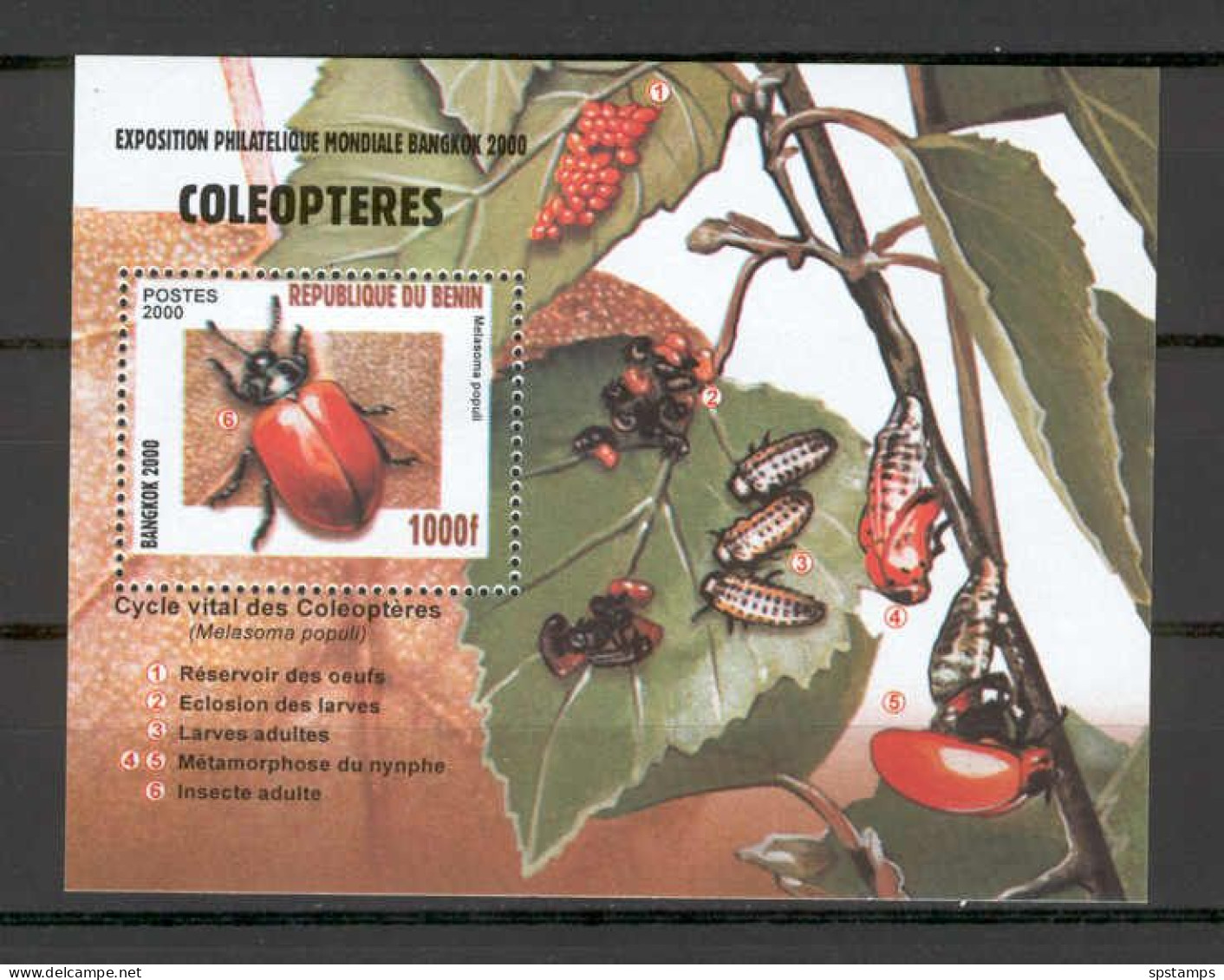 Benin 2000 Insects - Coleoptera MS MNH - Benin - Dahomey (1960-...)