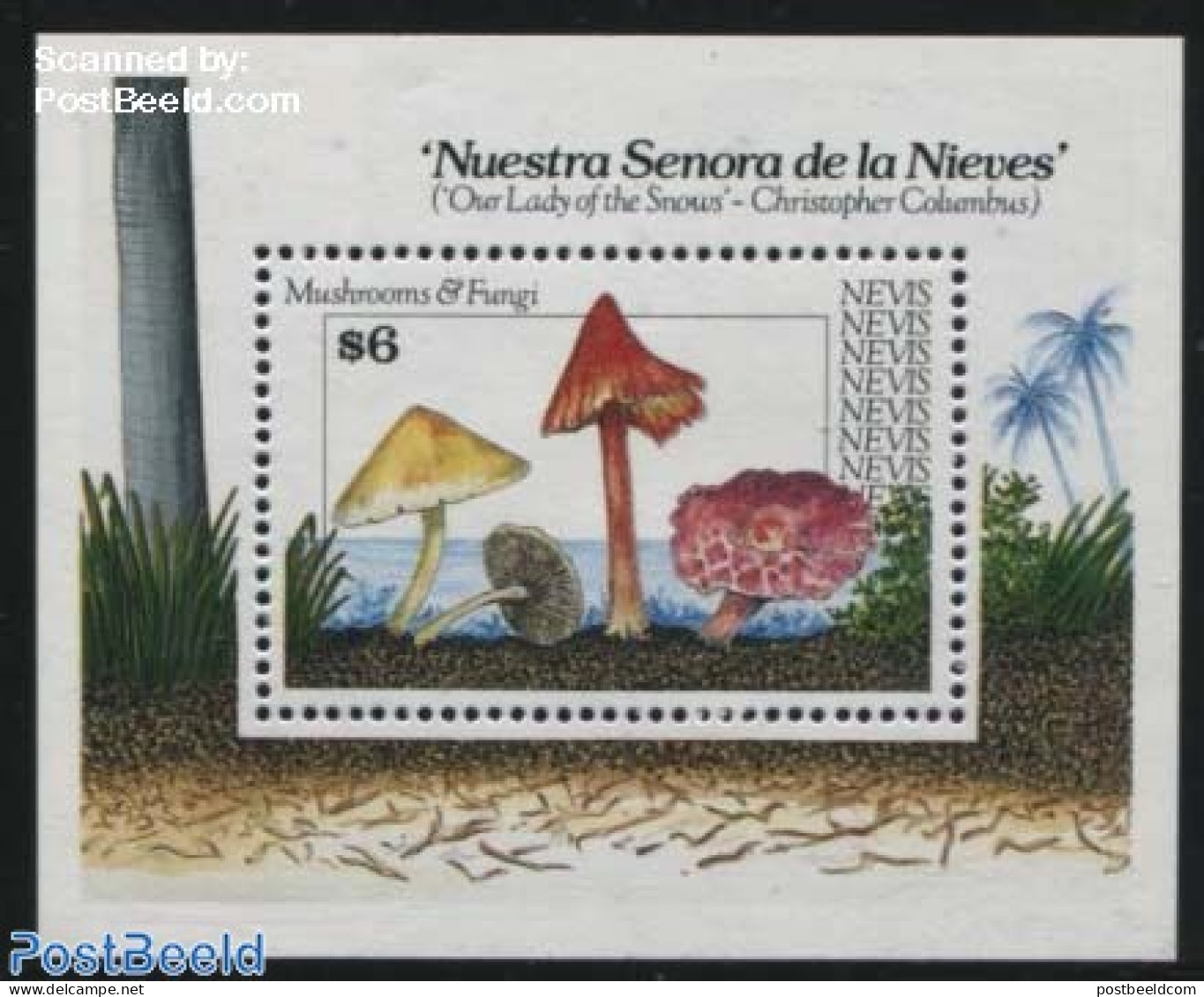 Nevis 1991 Mushrooms S/s, Mint NH, Nature - Mushrooms - Pilze