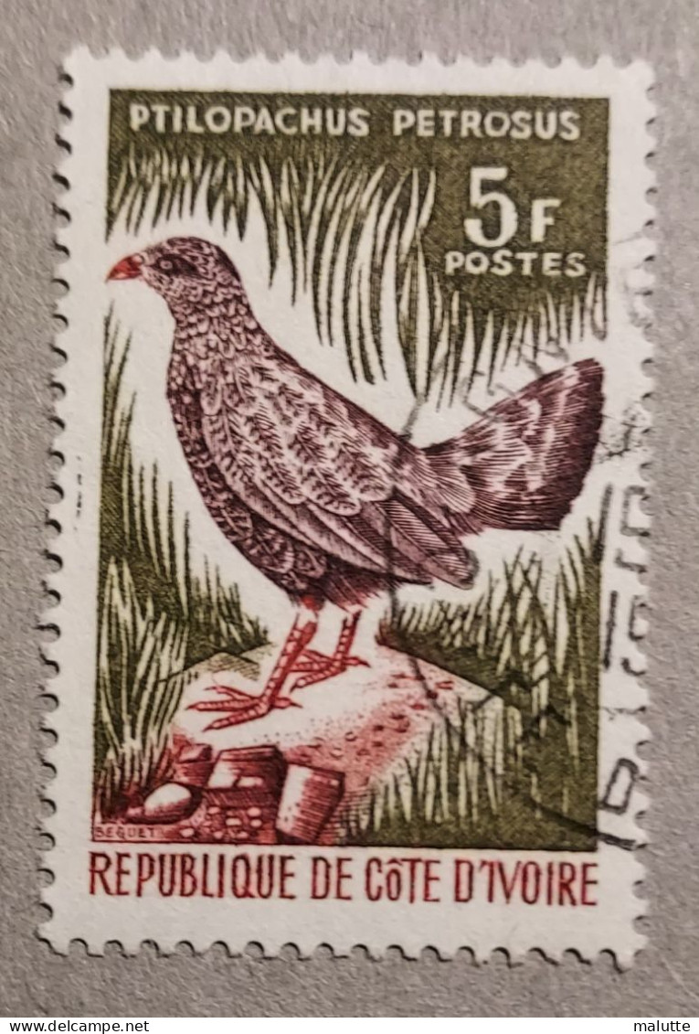 Côte D'ivoire YT 251 Oblitéré Animaux - Côte D'Ivoire (1960-...)