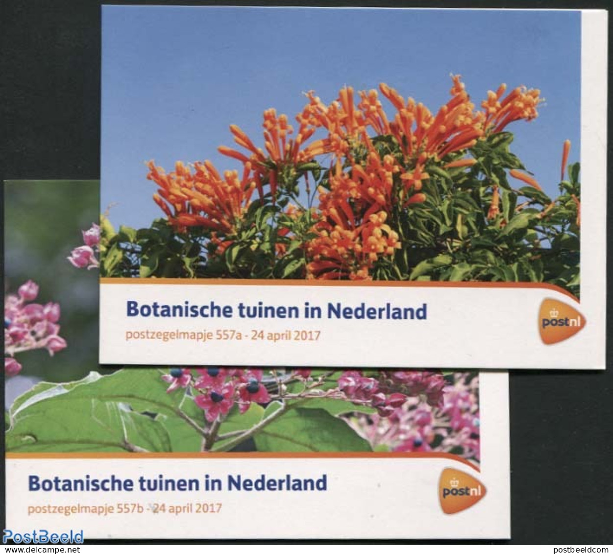 Netherlands 2017 Botanic Gardens, Presentation Pack 557a+b, Mint NH, Nature - Flowers & Plants - Ungebraucht