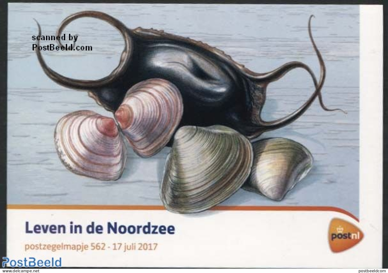 Netherlands 2017 Life In The Northsea, Presentation Pack 562, Mint NH, Nature - Birds - Fish - Shells & Crustaceans - Ongebruikt