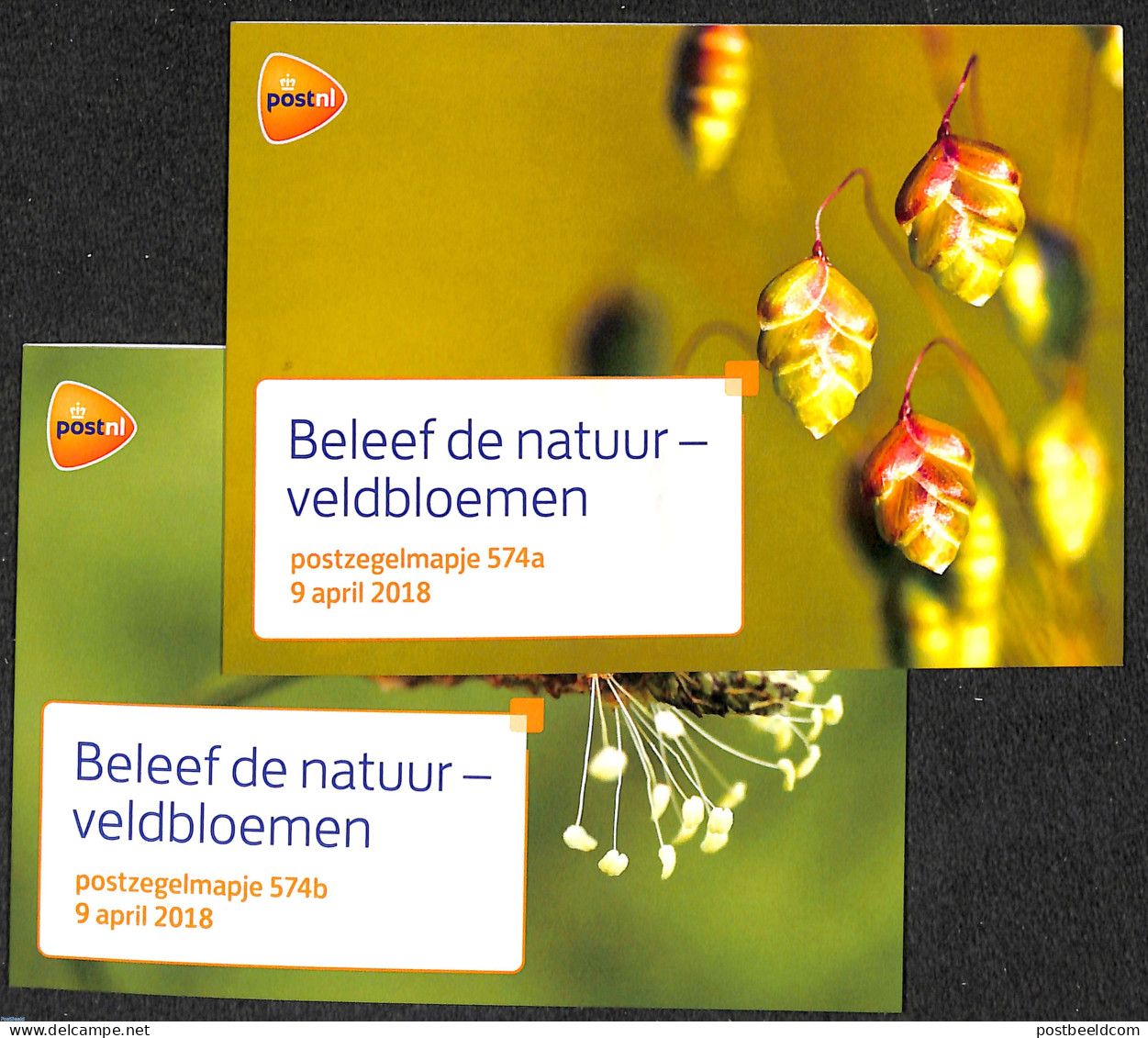 Netherlands 2018 Flowers In The Field, Presentation Pack 574a+b, Mint NH, Nature - Flowers & Plants - Ongebruikt