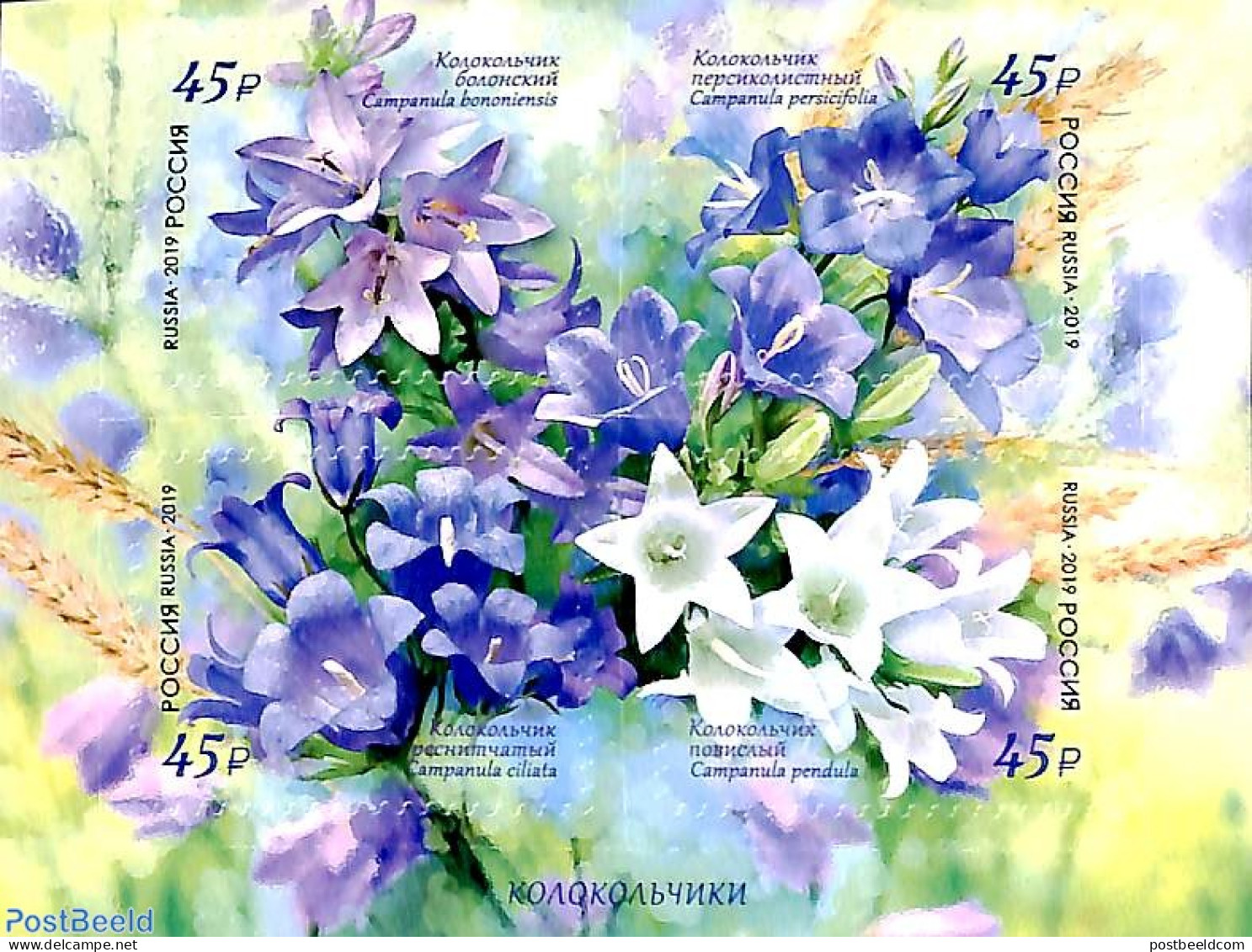 Russia 2019 Flora 4v S-a, Mint NH, Nature - Flowers & Plants - Sonstige & Ohne Zuordnung
