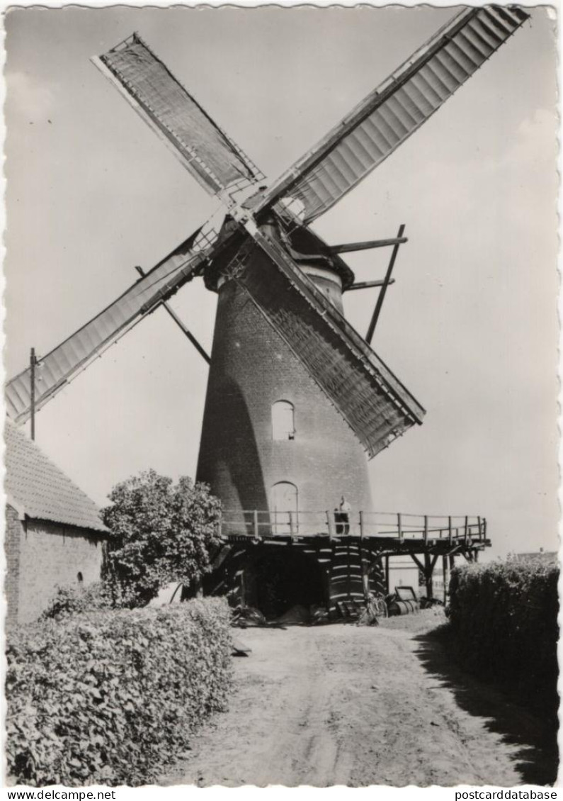 Berendrecht De Molen - & Windmill - Other & Unclassified
