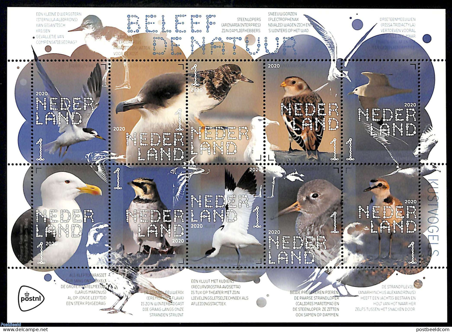 Netherlands 2020 Coastal Birds 10v S-a M/s, Mint NH, Nature - Birds - Ungebraucht