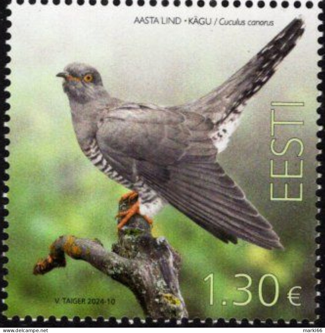 Estonia - 2024 - Bird Of The Year - Common Cuckoo - Mint Stamp - Estland