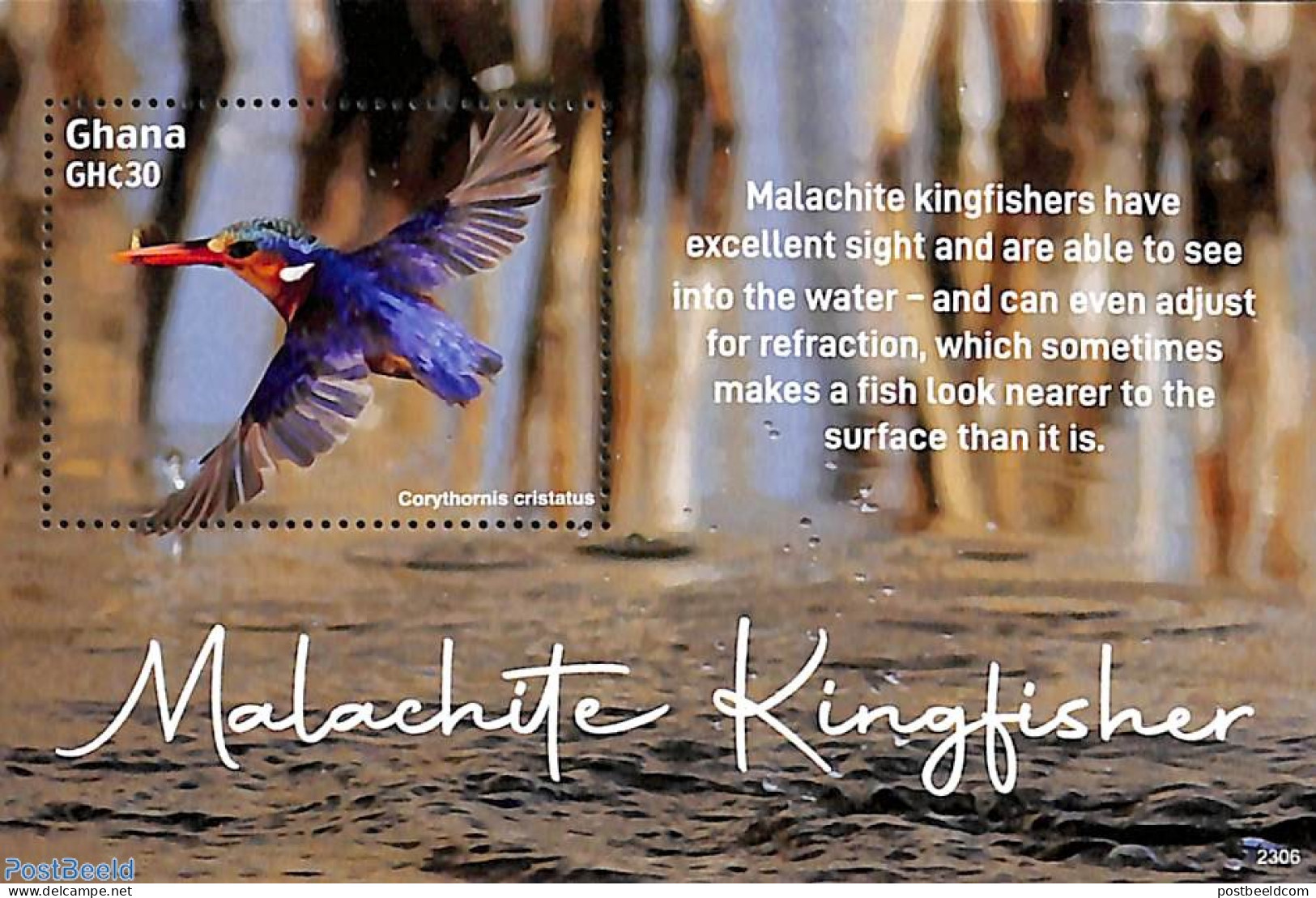 Ghana 2023 Malachite Kingfisher S/s, Mint NH, Nature - Birds - Kingfishers - Autres & Non Classés