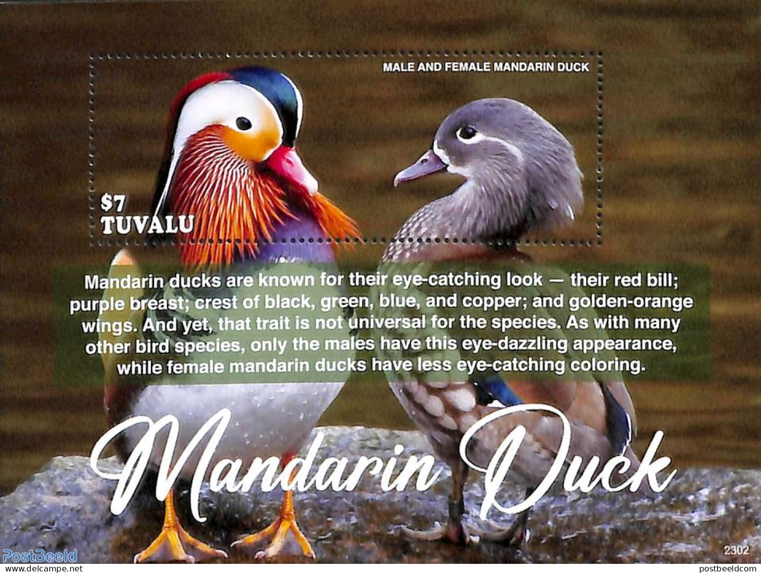 Tuvalu 2023 Mandarin Duck S/s, Mint NH, Nature - Birds - Ducks - Sonstige & Ohne Zuordnung