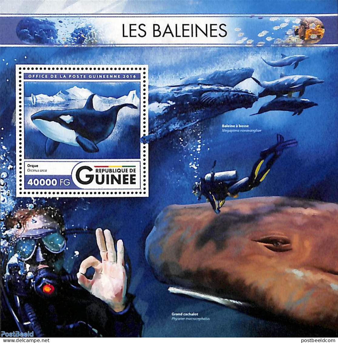 Guinea, Republic 2016 Whales S/s, Mint NH, Nature - Sea Mammals - Other & Unclassified