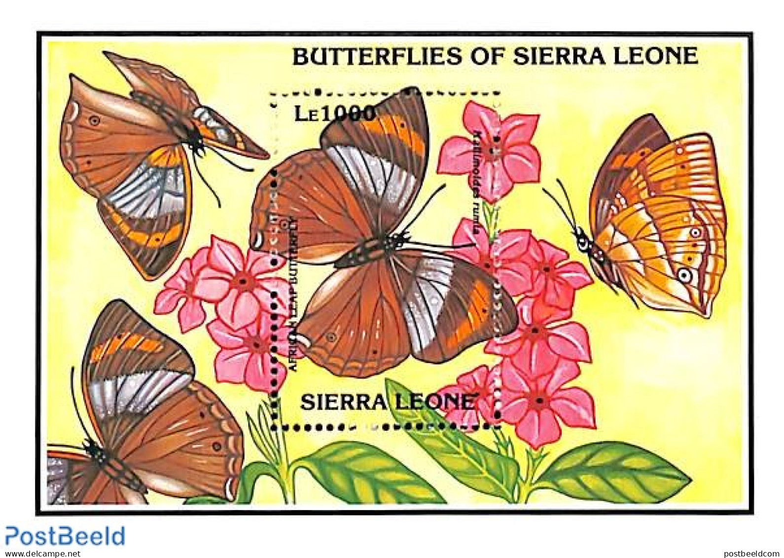 Sierra Leone 1993 Kallimoldes Rumia S/s, Mint NH, Nature - Butterflies - Andere & Zonder Classificatie