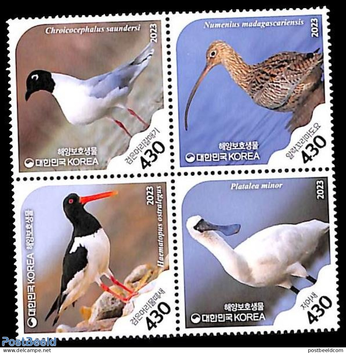 Korea, South 2023 Protected Sea Birds 4v [+], Mint NH, Nature - Birds - Korea, South