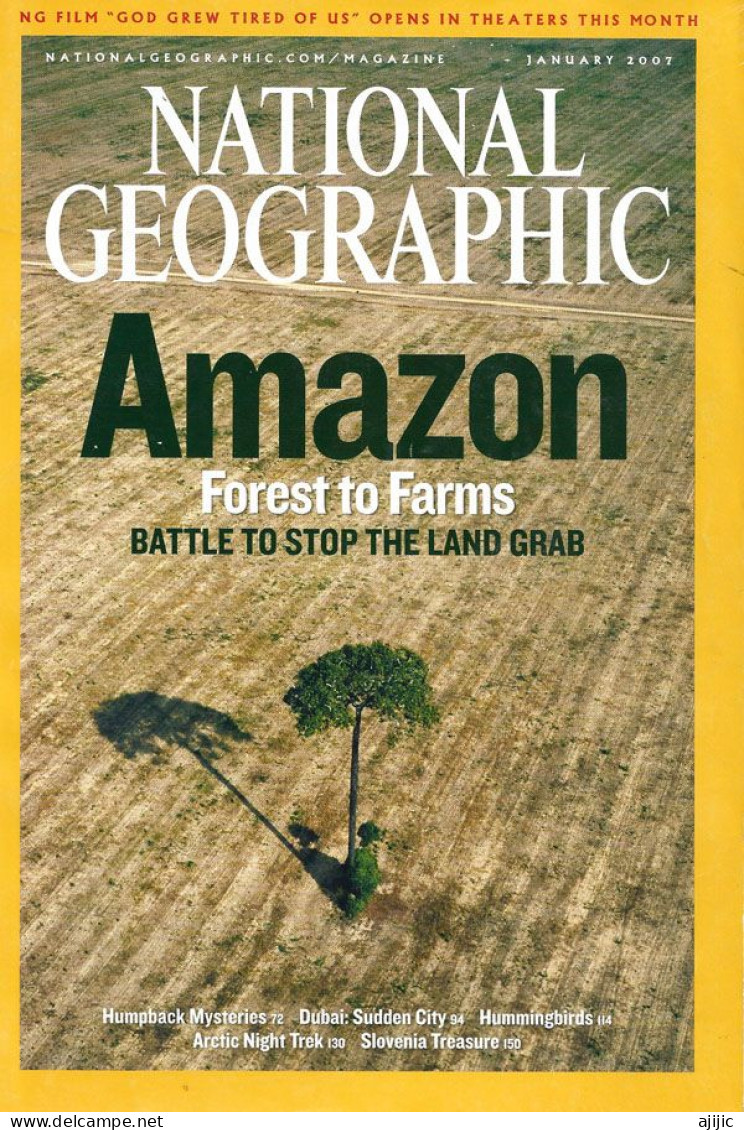 FARMING THE AMAZON. BATTLE TO STOP THE LAND GRAB !   National Geographic - Ecologie, Omgeving