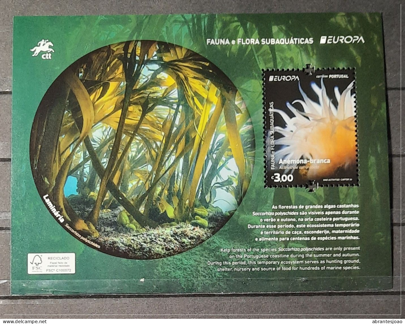 2024 - Portugal - MNH - EUROPA - Underwater Fauna And Flora - Continent - Recycled Paper - Block Of 1 Stamp - Hojas Bloque