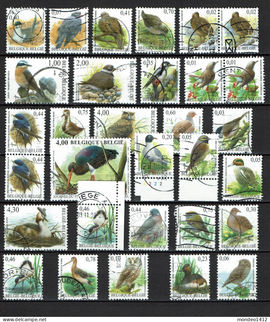 België - 11 - Buzin - Volgels, Oiseaux - Sammlungen