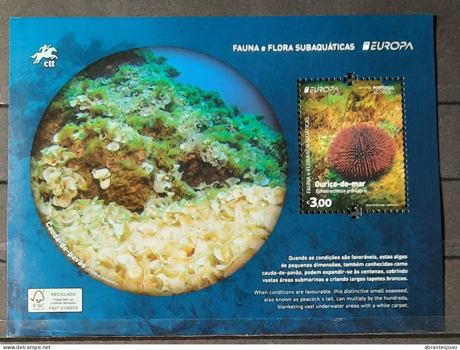 2024 - Portugal - MNH - EUROPA - Underwater Fauna And Flora - Azores - Recycled Paper - Block Of 1 Stamp - Blocs-feuillets