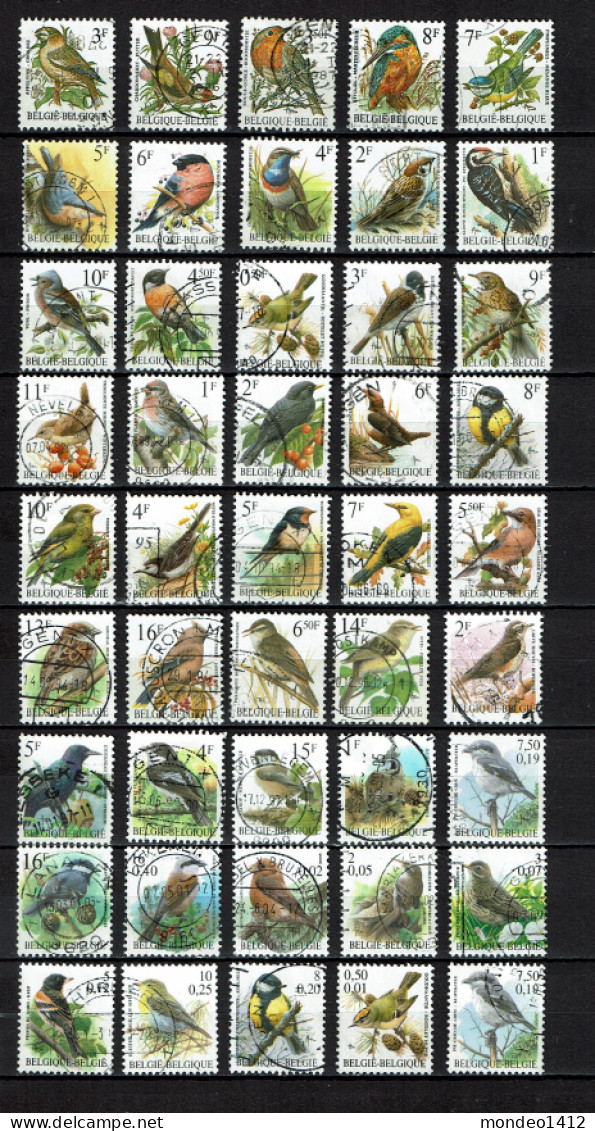België - 08 - Buzin - Volgels, Oiseaux - Sammlungen