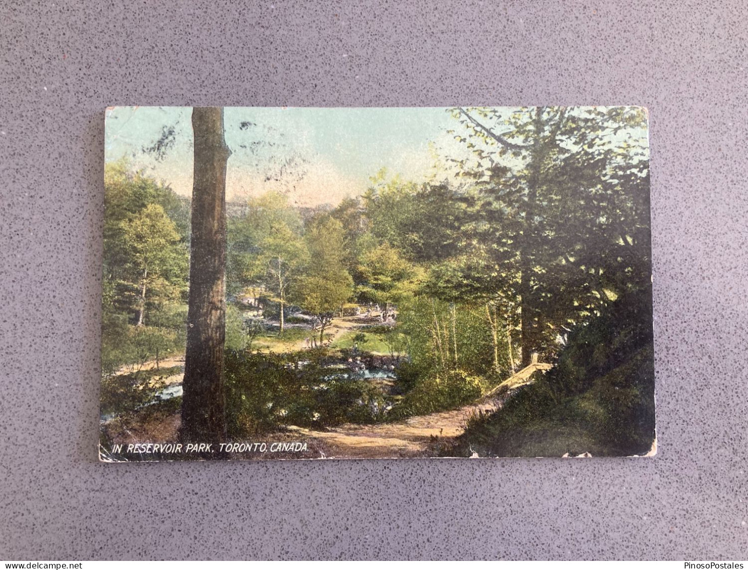 In Reservoir Park, Toronto, Canada Carte Postale Postcard - Toronto