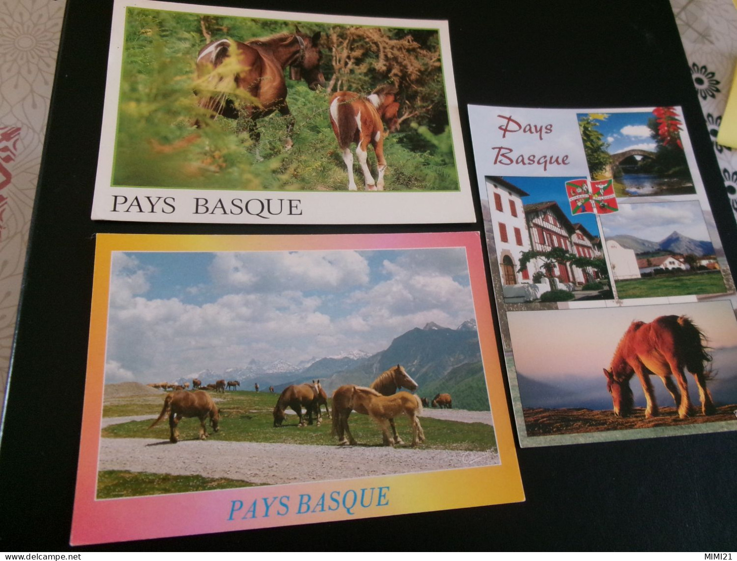 LOT DE 3 BELLES CARTES "PAYS BASQUE ...BEAUX CHEVAUX".. - Horses