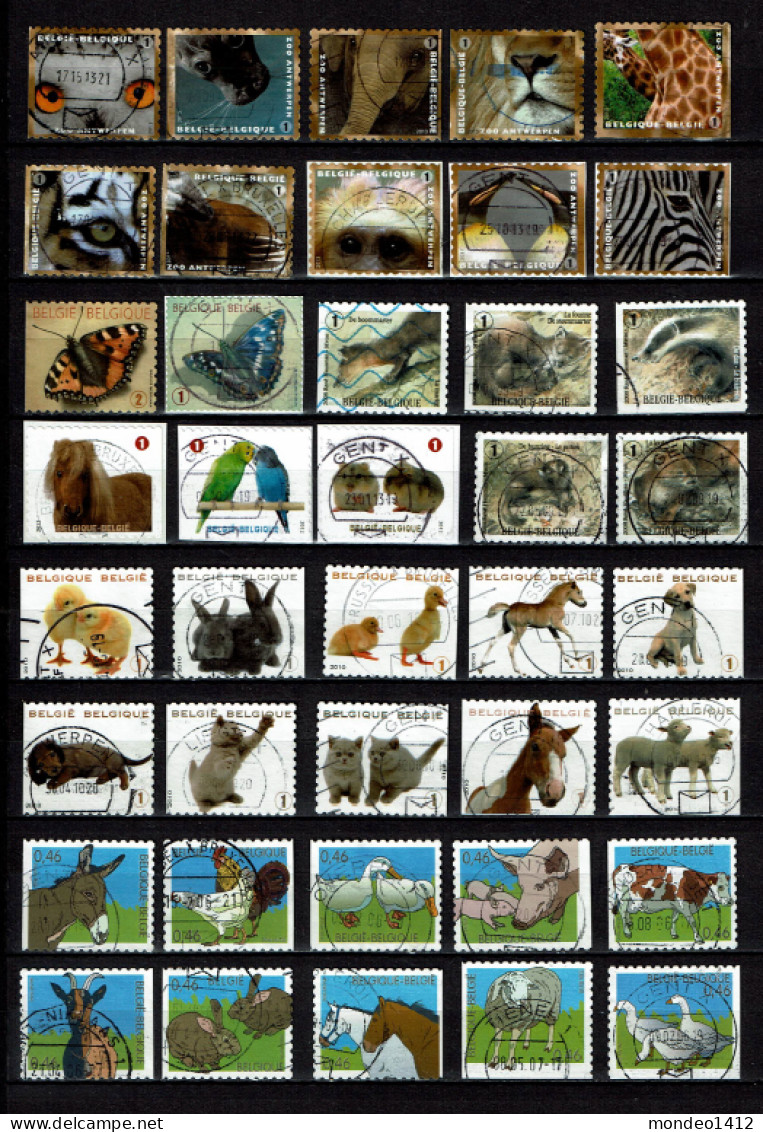 België - 10 - Self Adhesive, Autocollant - Collections