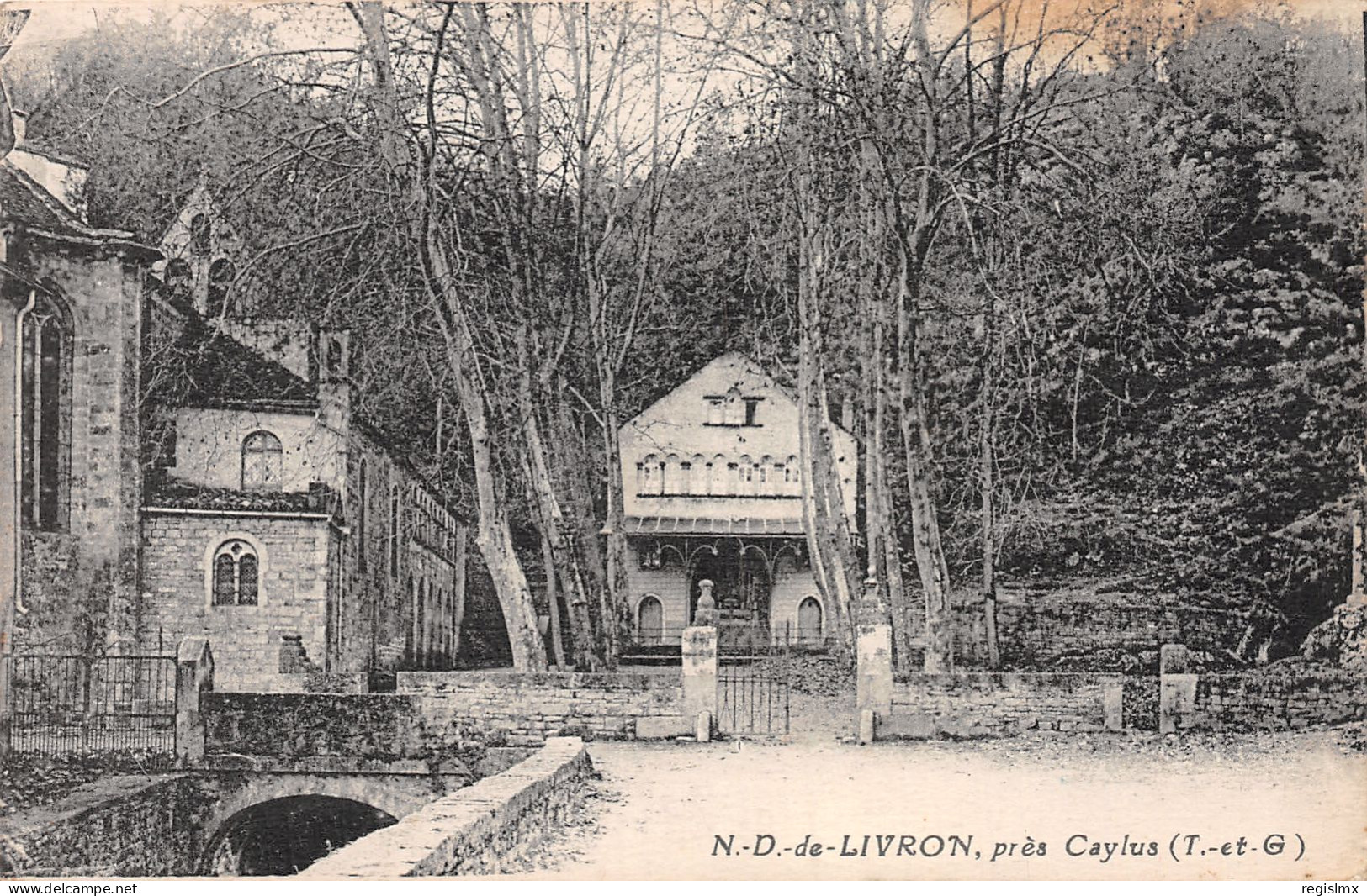 82-CAYLUS NOTRE DAME DE LIVRON-N°T2253-B/0011 - Saint Antonin Noble Val