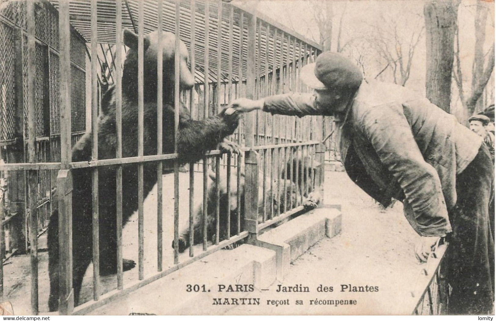 75 Paris Le Jardin Des Plantes Martin Reçoit Sa Récompense Ours CPA - Parken, Tuinen