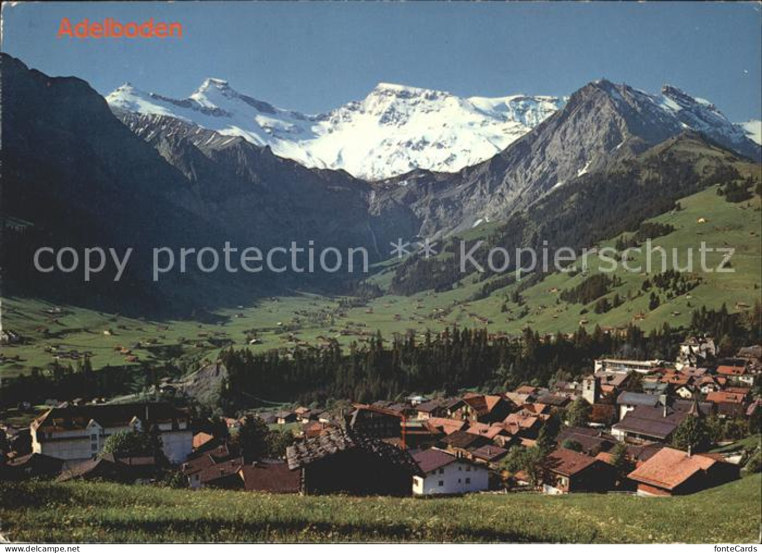 11880969 Adelboden Tierhoernli Steghorn Wildstubel Fitzer Adelboden BE - Other & Unclassified