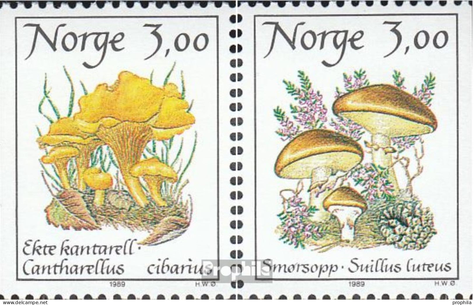 Norwegen 1012-1013 (kompl.Ausg.) Postfrisch 1989 Pilze - Ongebruikt