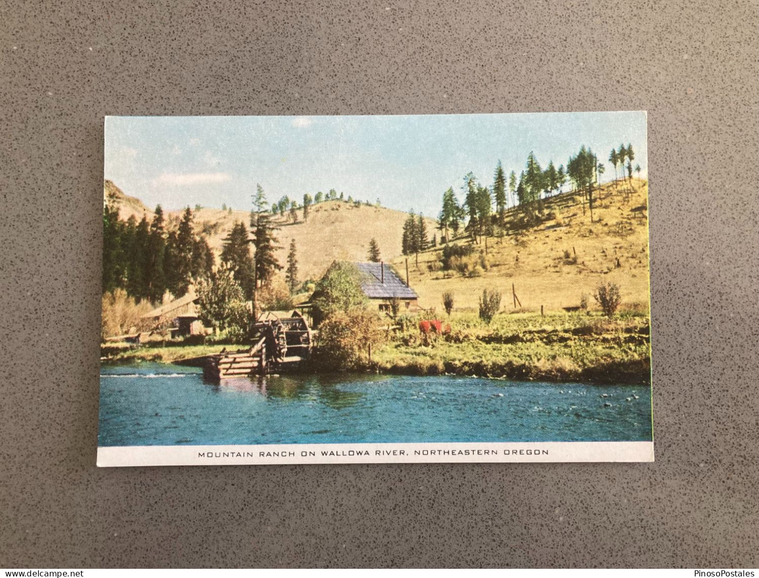 Mountain Ranch On Wallowa River, Northeastern Oregon Carte Postale Postcard - Andere & Zonder Classificatie