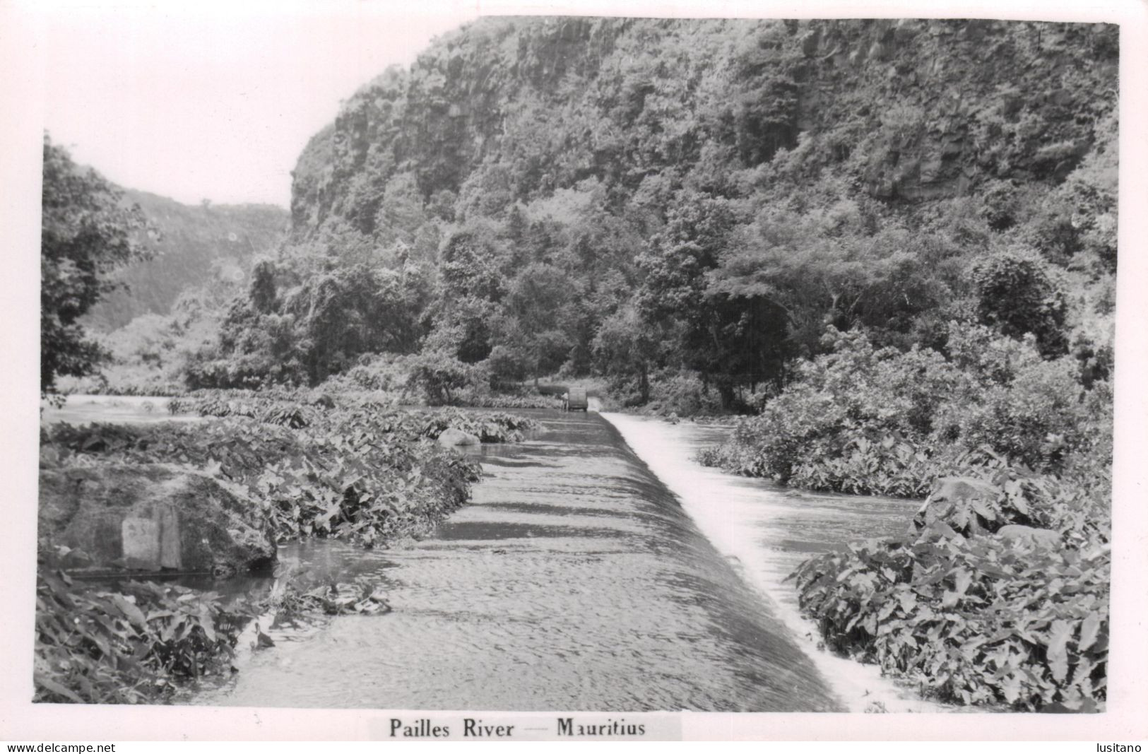 ILE MAURICE - Pailles River - Mauritius, Real Photo Postcard Old Original - Mauritius