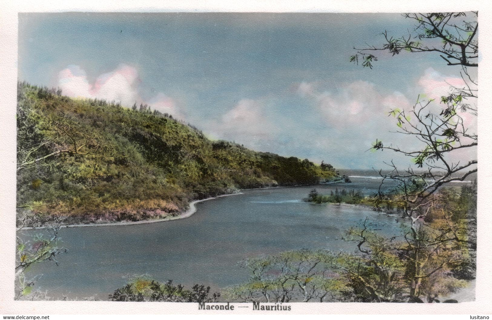 ILE MAURICE - Maconde - Mauritius, Real Photo Postcard Old Original - Mauritius