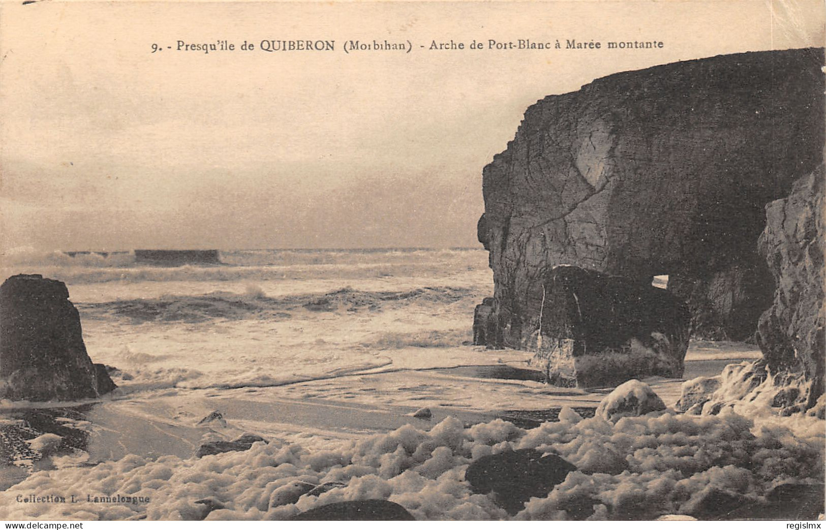 56-QUIBERON-N°T2405-C/0359 - Quiberon