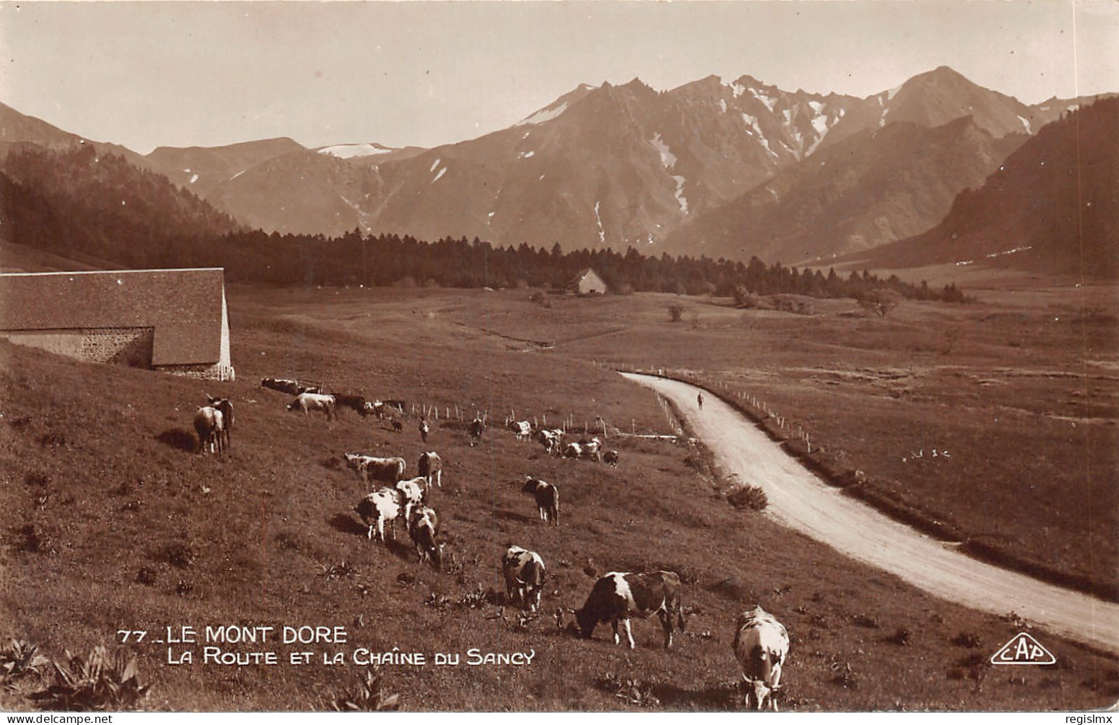 63-PANORAMA DE LA CHAINE DU SANCY-N°T2405-F/0133 - Sonstige & Ohne Zuordnung