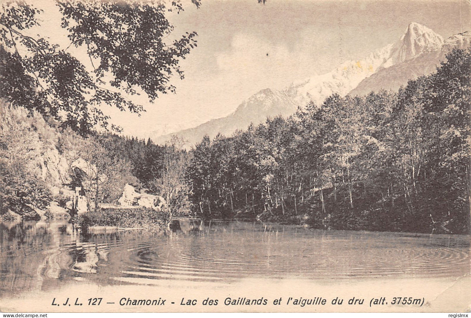 74-CHAMONIX-LAC DES GAILLANDS-N°T2406-E/0045 - Chamonix-Mont-Blanc