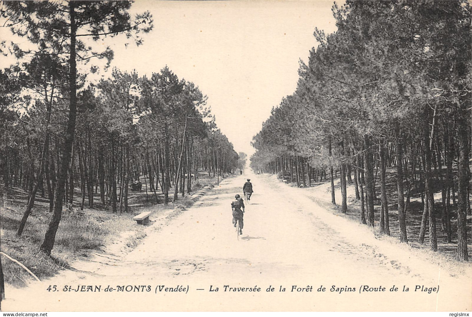 85-SAINT JEAN DE MONTS-N°T2407-D/0337 - Saint Jean De Monts