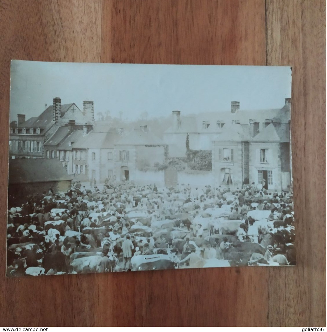 Grande Photographie Ancienne Titré Place De La Mairie, Photo Représentant Une Foire Aux Bestiaux Je Pense, Photo Animée - Anciennes (Av. 1900)