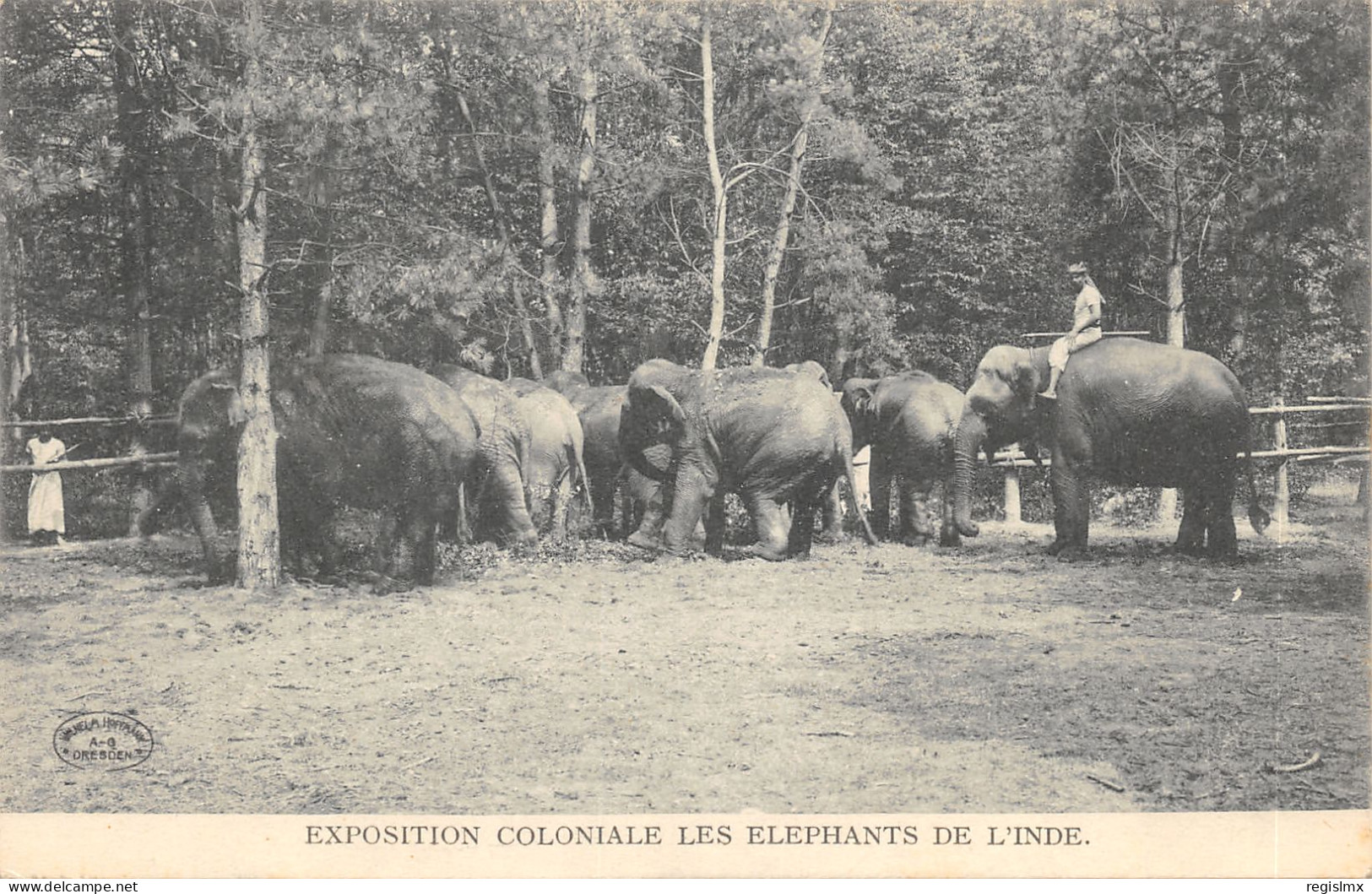 75-PARIS-EXPOSITON COLIONALE-LES ELEPHANTS DE L INDE-N°T2409-B/0227 - Expositions