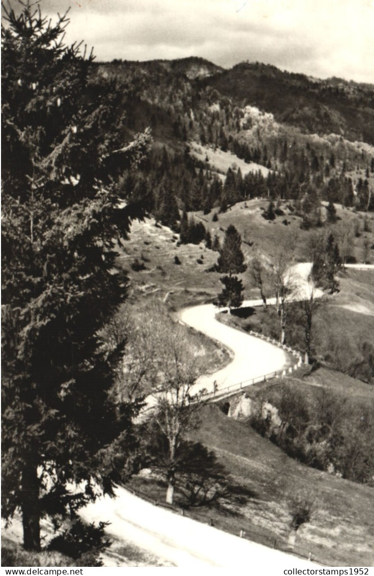 DRUMUL DE LA RUCAR LA DAMBOVICIOARA, ROMANIA, POSTCARD - Roumanie