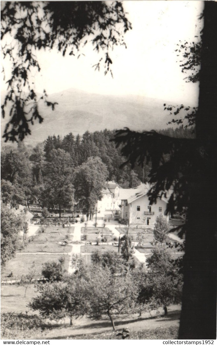 SANGEORZ BAI, VEDERE, PARC, ARHITECTURA, ROMANIA, POSTCARD - Romania