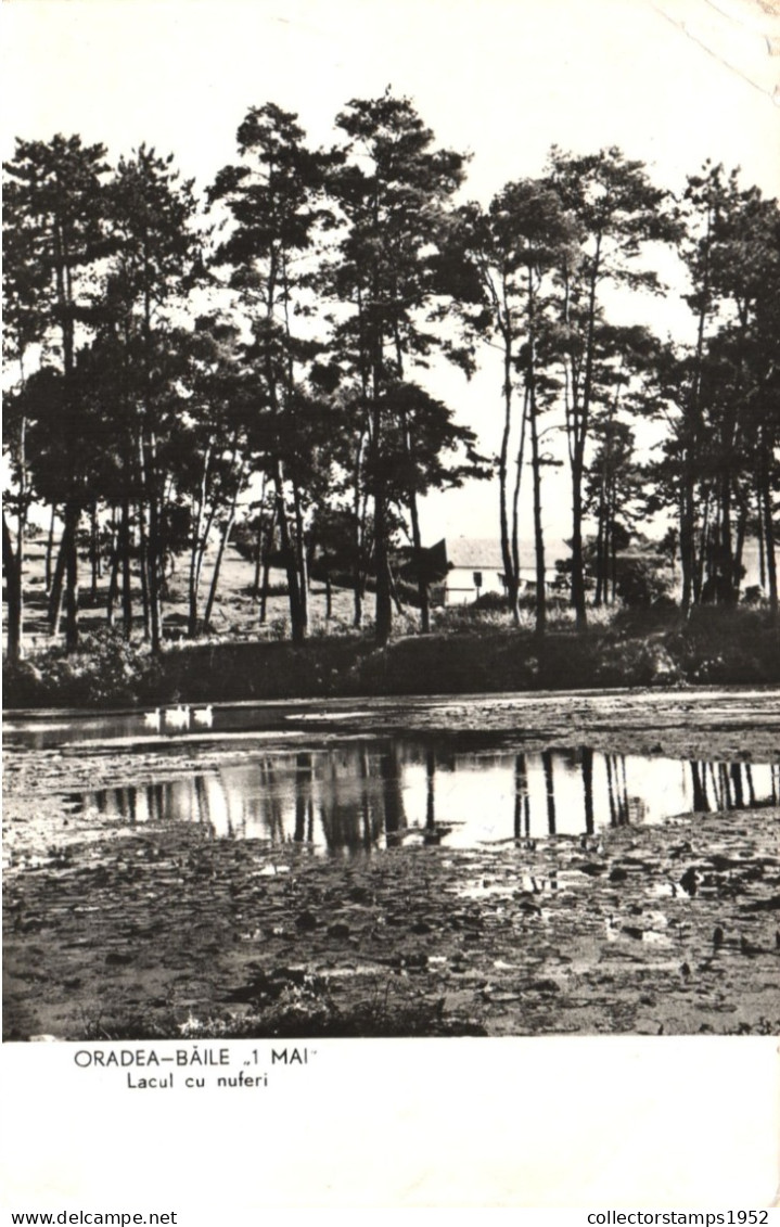 ORADEA, LACUL CU NUFERI, ARHITECTURA, ROMANIA, POSTCARD - Roemenië